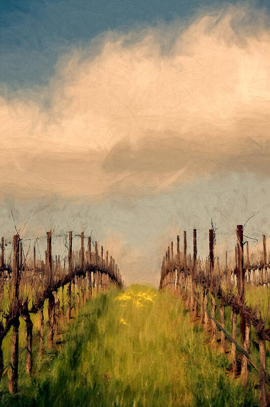 Vineyard Poster featuring the mixed media Spring Vineyard by John K Woodruff