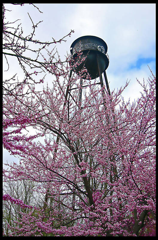Spring Poster featuring the photograph Springtime Water Tower by Ellen Tully