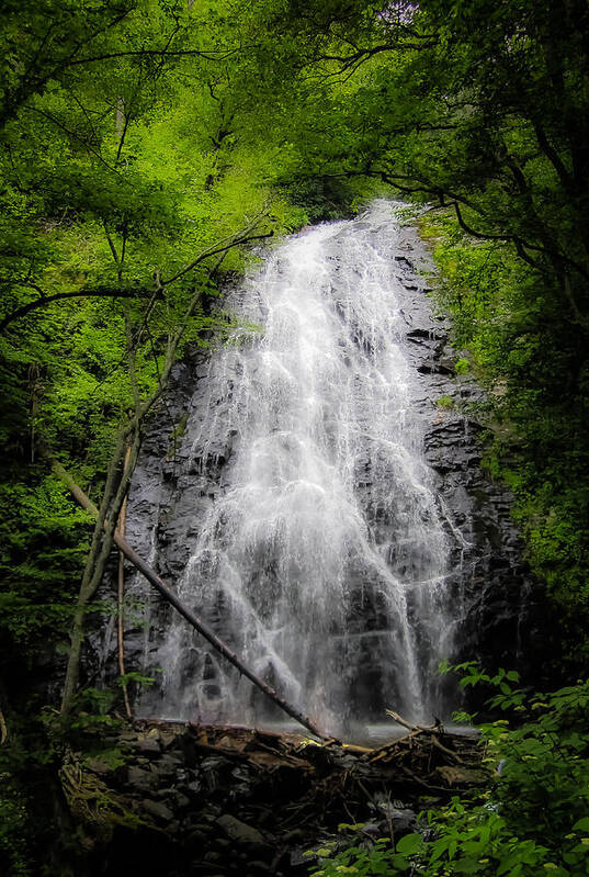 Landscape Poster featuring the photograph Springtime Waterfall by Dave Hall