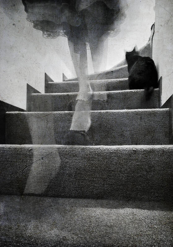 Ghost Poster featuring the photograph Stairs by Laura Melis