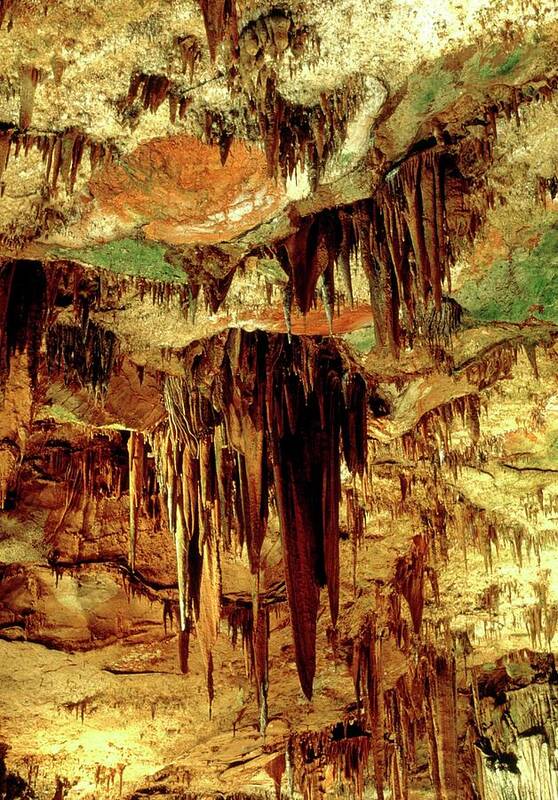 Stalactite Poster featuring the photograph Stalactites by Adam Hart-davis/science Photo Library