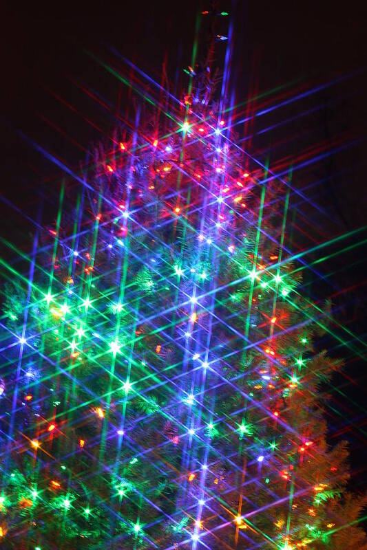 Christmas Poster featuring the photograph Star Like Christmas Lights by Patrice Zinck