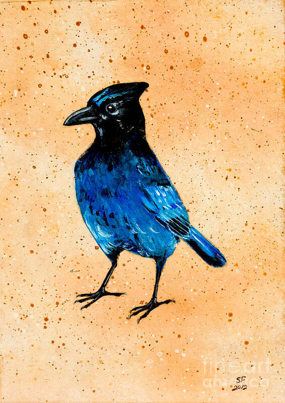  Poster featuring the painting Stellar jay by Stefanie Forck