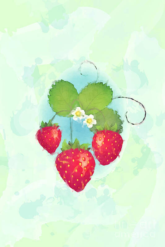 Strawberry Poster featuring the photograph Summer strawberries by Jane Rix