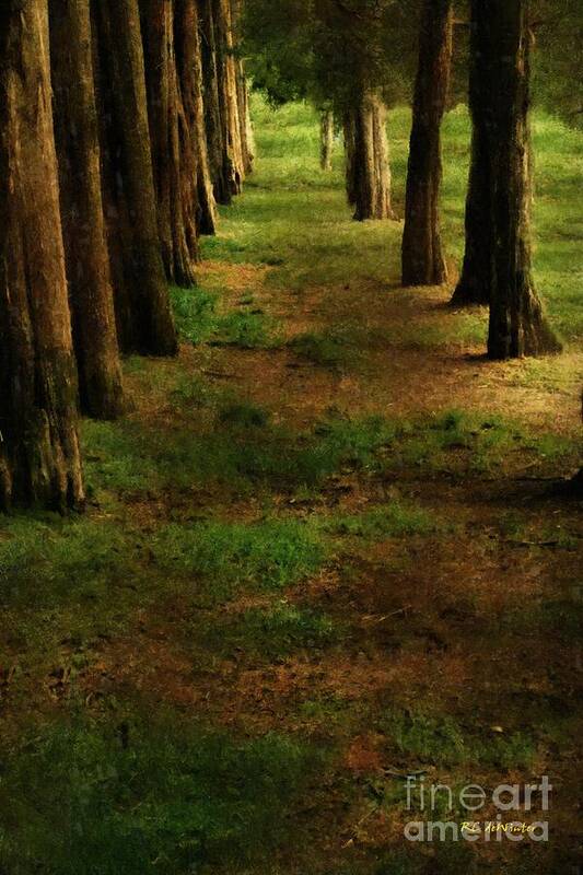 Trees Poster featuring the painting Sunrise Allee by RC DeWinter