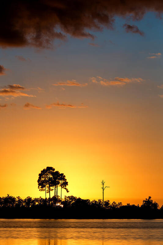 Back-lighting Poster featuring the photograph Sunset at Long Pine Key Vertical by Andres Leon