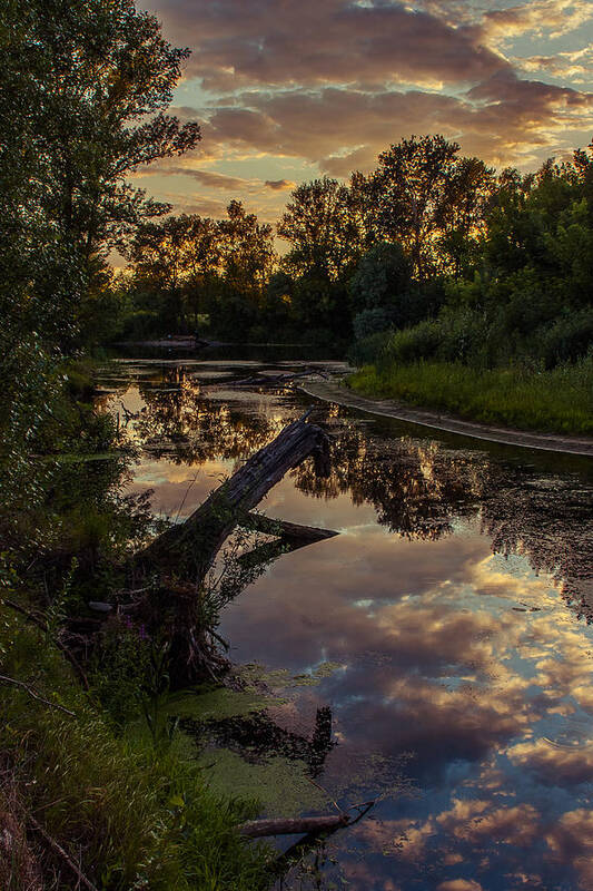 Landscape Poster featuring the photograph Sunset on the quiet river by Dmytro Korol