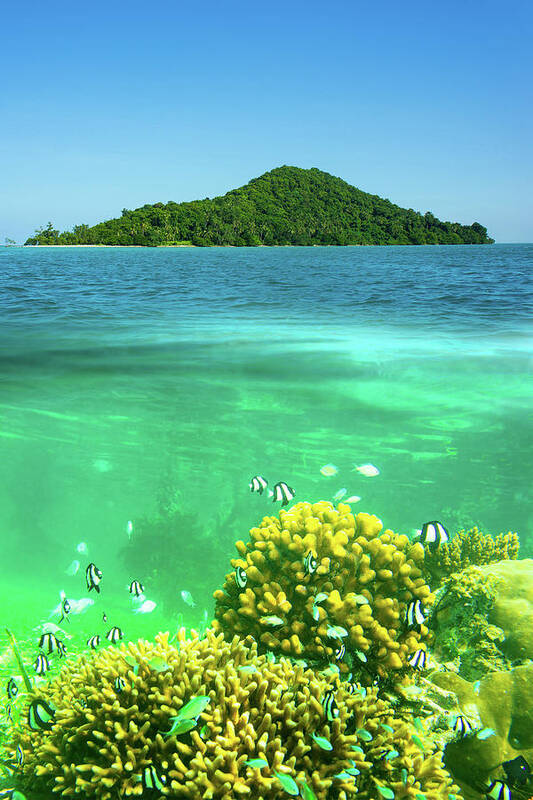 Scenics Poster featuring the photograph Surface And Underwater View by The Best Pictures Come From A Sincere Heart