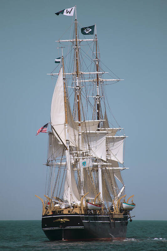 Tall Ship Poster featuring the photograph Tall Ship Charles W Morgan by Darius Aniunas