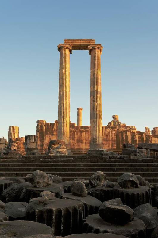 Didyma Poster featuring the photograph Temple Of Apollo by David Parker