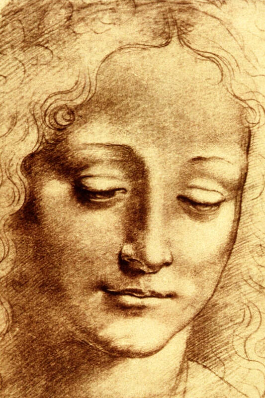 Leonardo Da Vinci Poster featuring the painting Testa di Giovinetta by Leonardo Da Vinci
