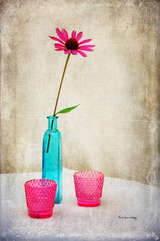 Marvelous Poster featuring the photograph The Coneflower by Randi Grace Nilsberg