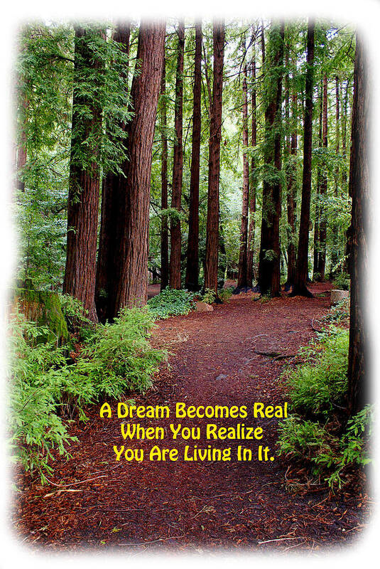 Dreams Poster featuring the photograph The Dream is Real Again by Ben Upham III