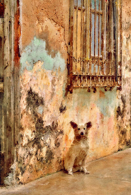 Dog Poster featuring the photograph The Guardian by Celso Bressan