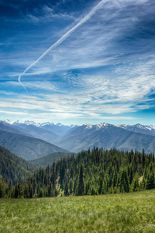 Pnw Poster featuring the photograph The Hills Are Alive by Jayme Spoolstra