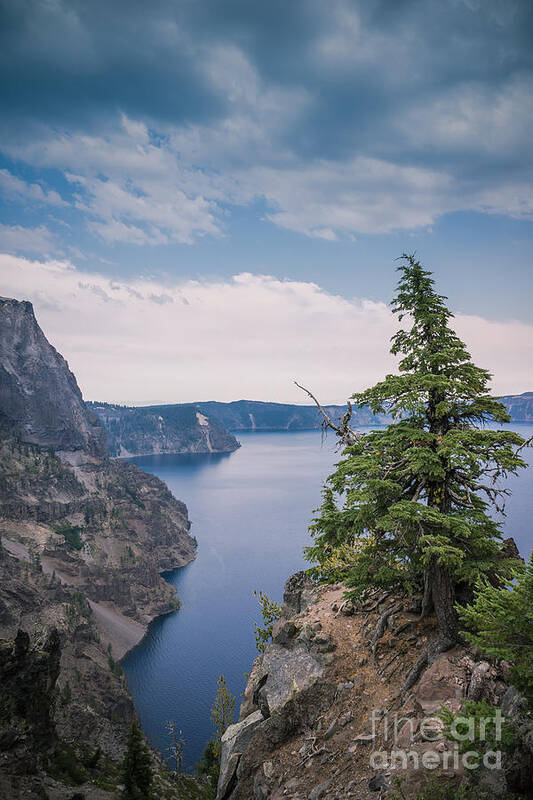 Crater Lake Poster featuring the photograph The Lookout by Carrie Cole