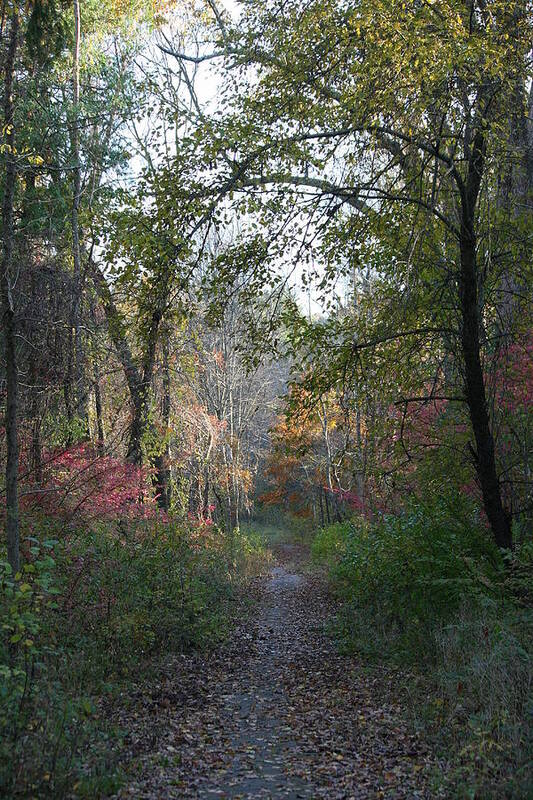 Autumn Poster featuring the photograph The Road Ahead No.2 by Neal Eslinger