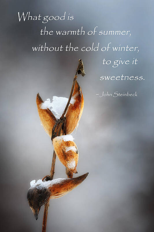 John Steinbeck Poster featuring the photograph The Warmth of Summer by Bill Wakeley