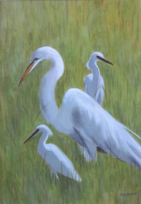 Waterfowl Poster featuring the painting Three Egrets by Jill Ciccone Pike