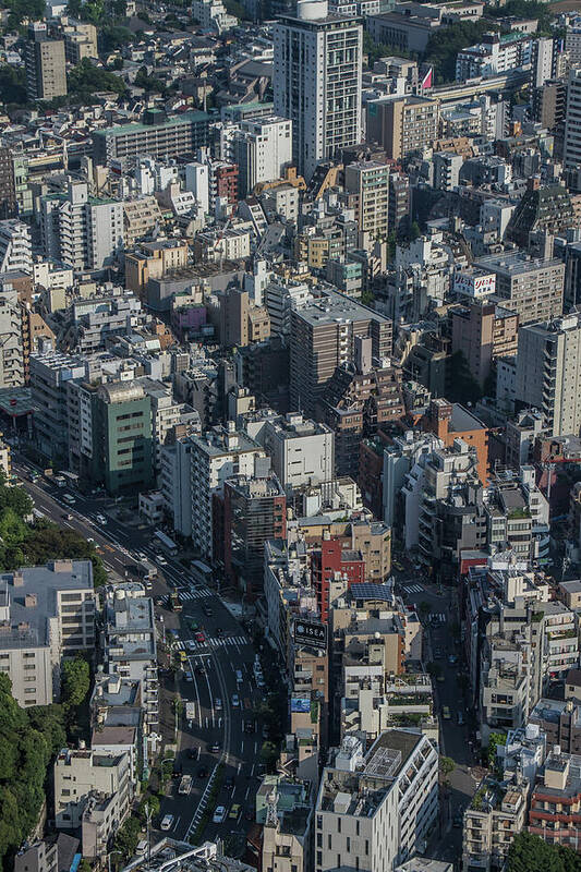 Tranquility Poster featuring the photograph Tokyo From Mori Tower by Manuel Ascanio