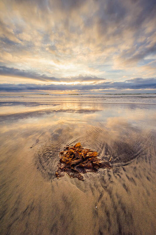 Torrey Pines Poster featuring the photograph Torrey Pines Sunset by Alexander Kunz