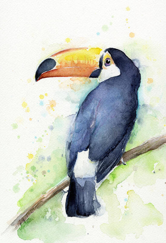 Watercolor Toucan Poster featuring the painting Toucan Watercolor by Olga Shvartsur