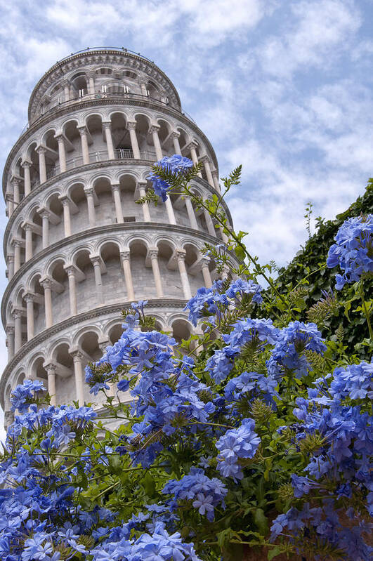 Architecture Poster featuring the photograph Tower of Pisa with Blue Flowers by Melany Sarafis