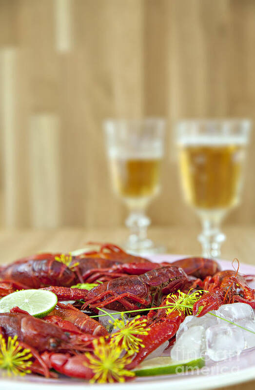 Dill Poster featuring the photograph Traditional swedish crayfish meal by Sophie McAulay