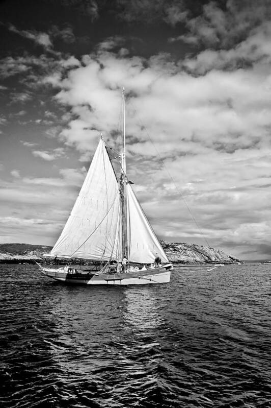 Gaff Cutter Poster featuring the photograph Traditional working boat by Gary Eason