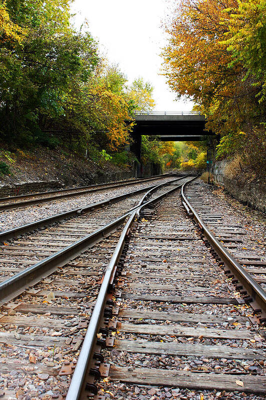 Train Tracks Poster featuring the photograph Train Tracks and Bridge in Autumn by Ellen Tully
