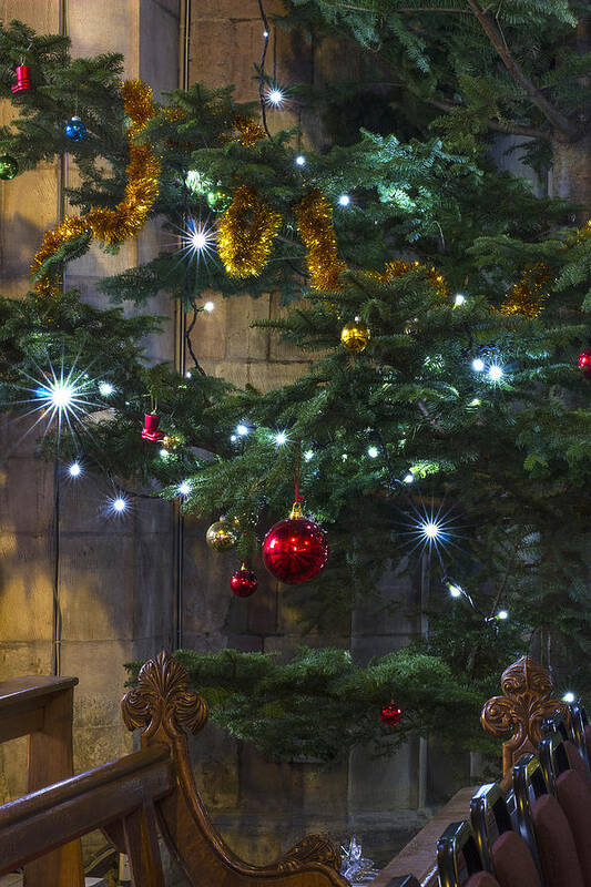 Tree Poster featuring the photograph Tree Lights and Baubles by Ian Mitchell