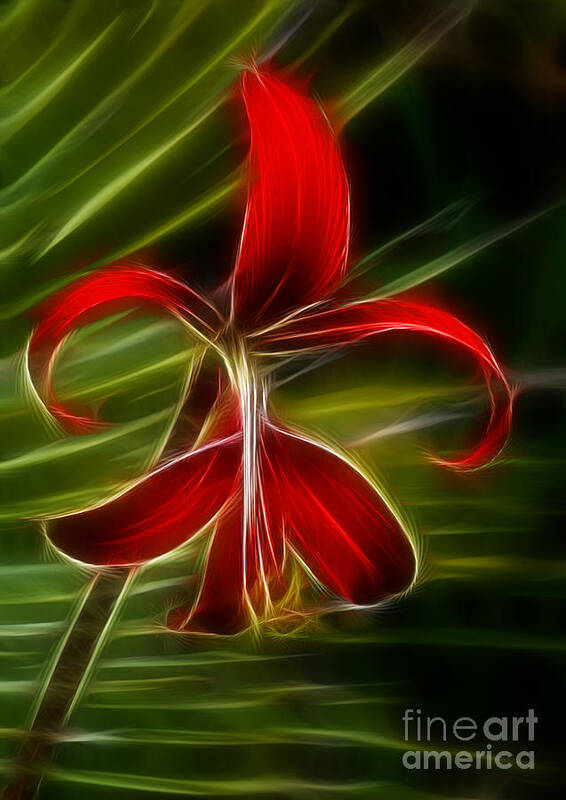 Flower Poster featuring the photograph Tropical Abstract by Vivian Christopher