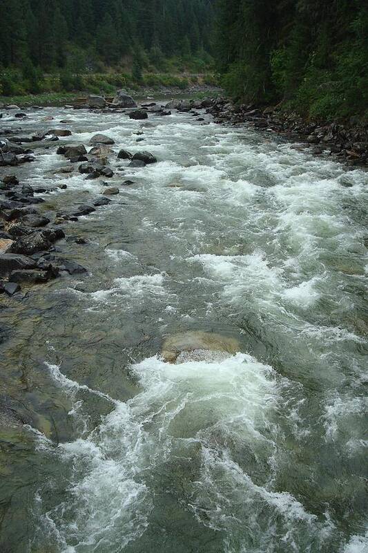 River Rapids Poster featuring the photograph Turbulent Lochsa River by Susan Woodward