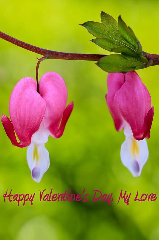 Beautiful Poster featuring the photograph Two Hearts Valentine's Day by Heidi Smith
