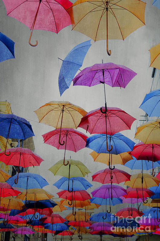 Art Poster featuring the photograph Umbrellas by Jelena Jovanovic