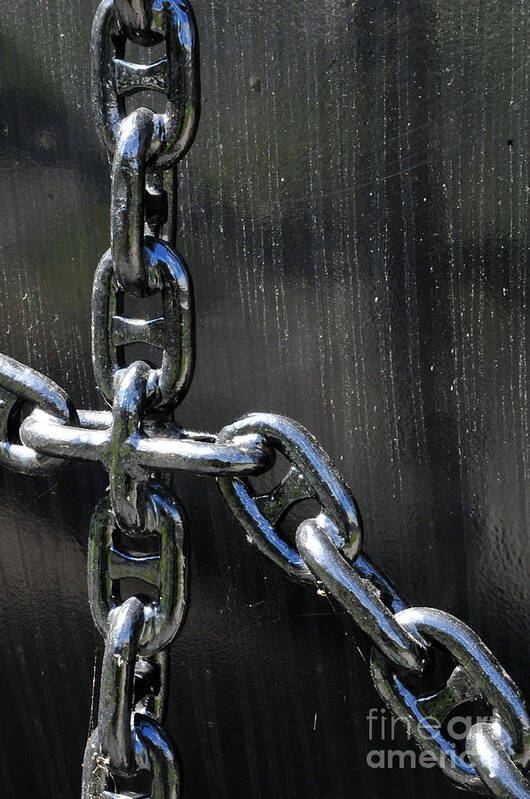 Secure Poster featuring the photograph Unchain by Randi Grace Nilsberg