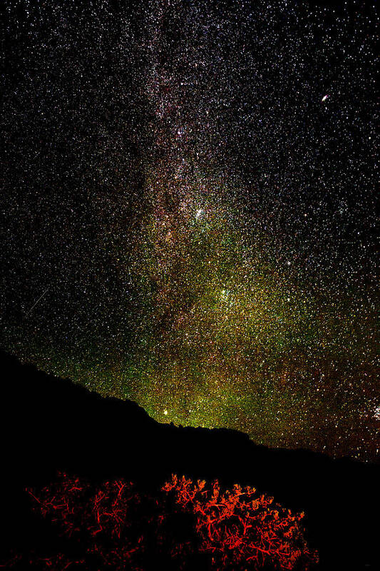 Milky Way Poster featuring the photograph Under the Milky Way by Greg Norrell