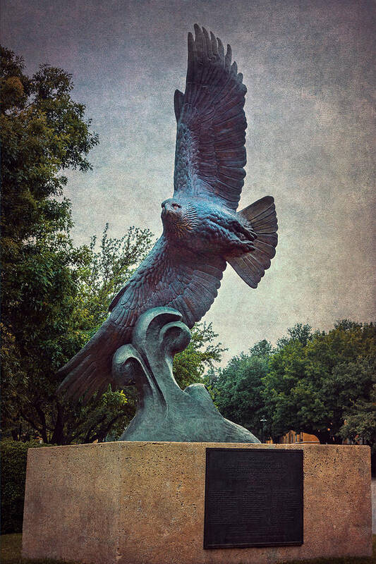 Joan Carroll Poster featuring the photograph UNT Eagle In High Places by Joan Carroll