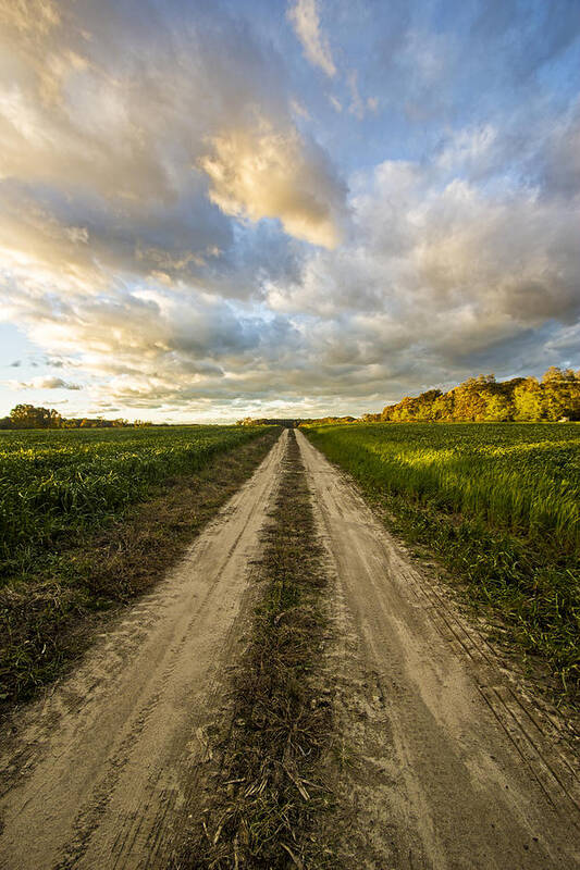 Farm Poster featuring the photograph Vanishing Point by Robert Seifert