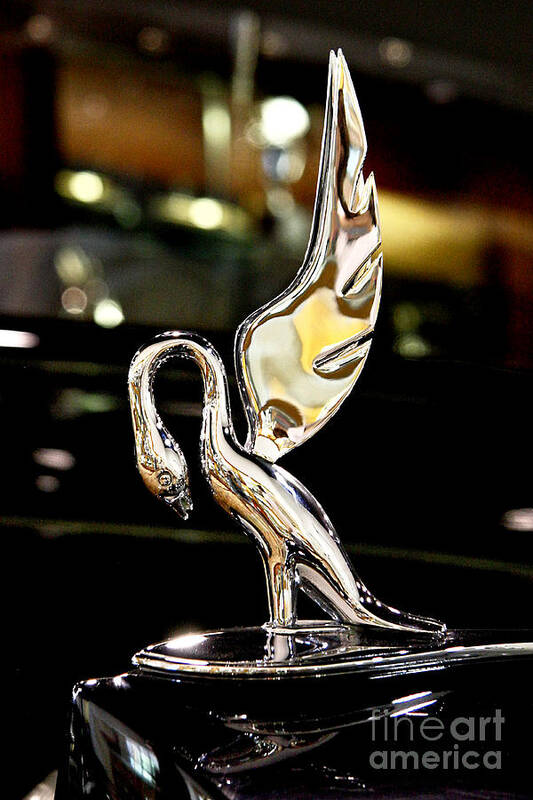 Vintage Swan Packard Photographs Poster featuring the photograph Vintage Swan Packard Hood Ornament Car Fine Art Photography Print by Jerry Cowart