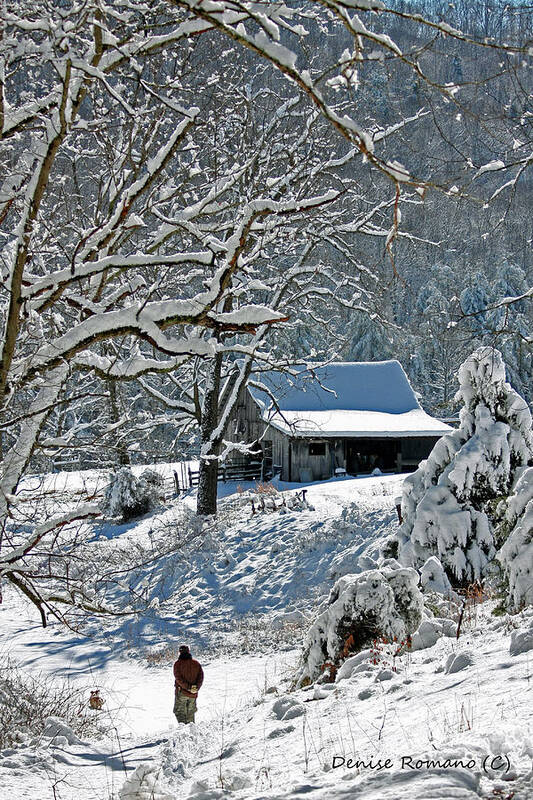 Winter Poster featuring the photograph Walking Toward the Barn by Denise Romano