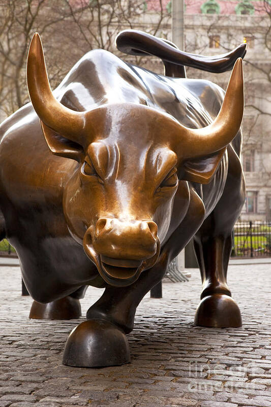 New York Poster featuring the photograph Wall Street Bull by Brian Jannsen