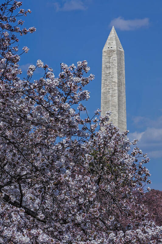 Washington Poster featuring the photograph Washington Monument by Susan Candelario