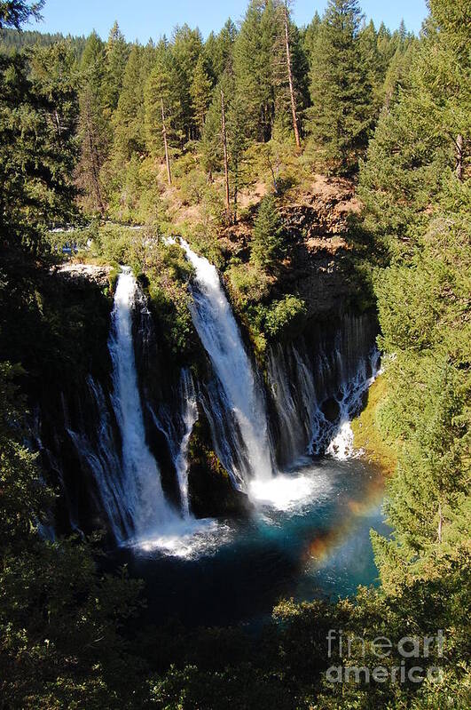 Mcarthur-burney Falls Memorial State Park Poster featuring the photograph Waterfall And Rainbow by Debra Thompson