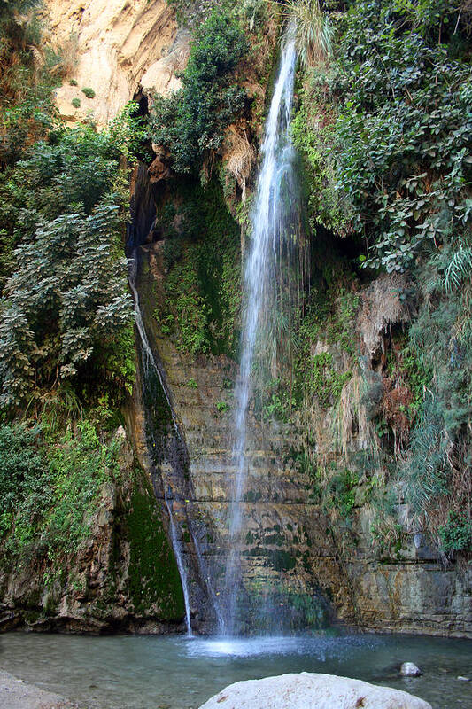 Waterfall Poster featuring the photograph Waterfall at Ein Gedi by Doc Braham