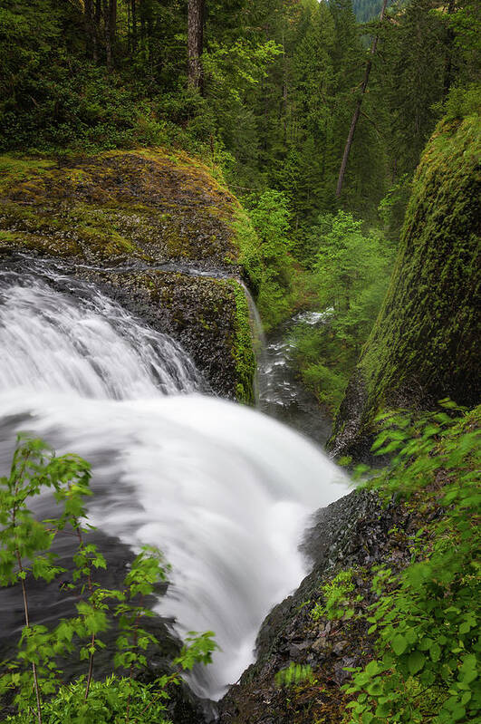 Scenics Poster featuring the photograph Waterfall Cascading Down Narrow Forest by Fotovoyager