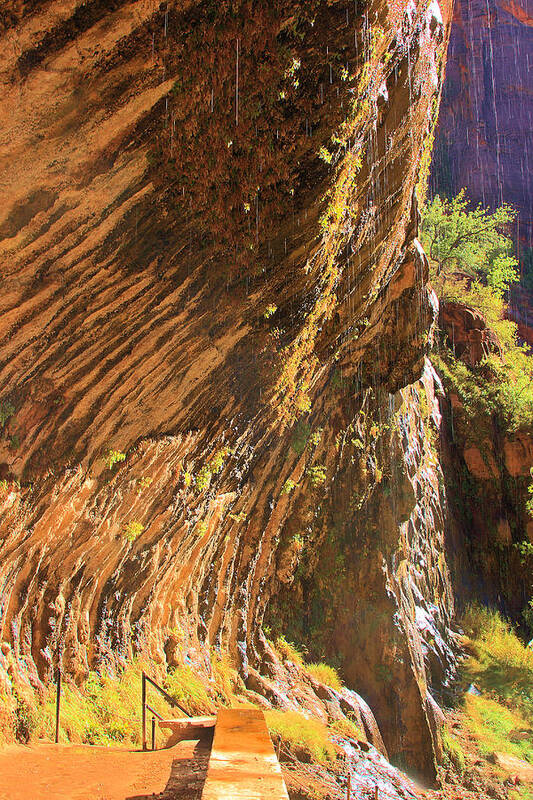 Weeping Rock In Zion Poster featuring the photograph Weeping rock In Zion by Viktor Savchenko