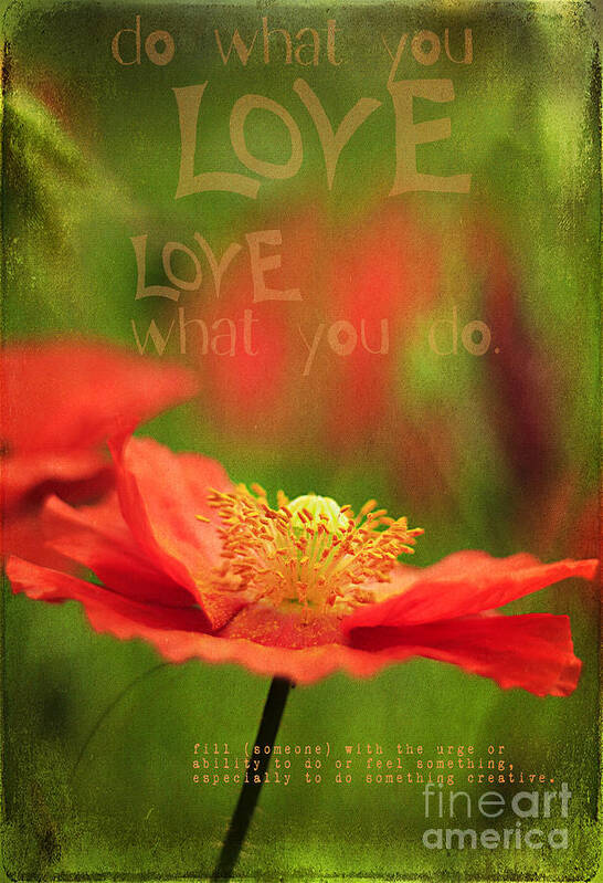 Inspiration Poster featuring the photograph What you Love by Darren Fisher