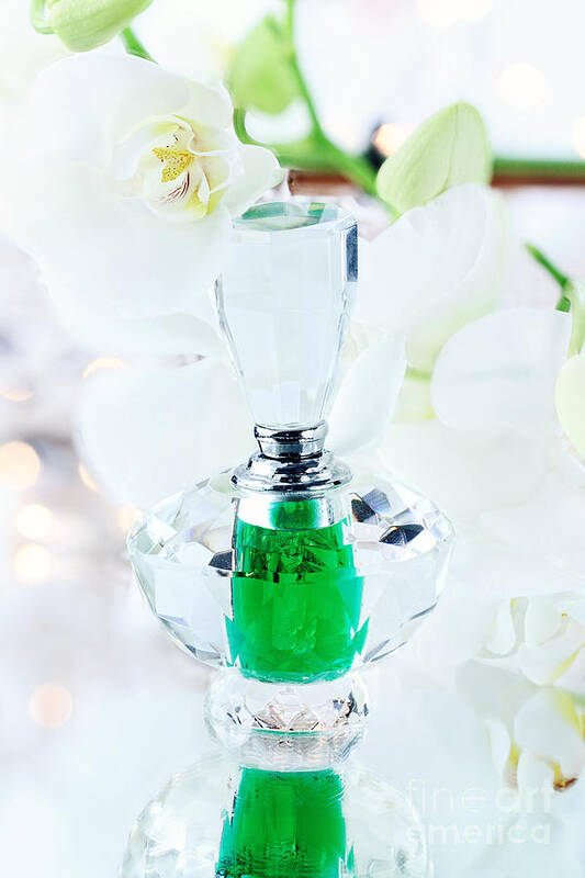 Perfume Poster featuring the photograph White Orchid and Perfume by Stephanie Frey