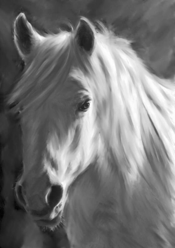 White Poster featuring the photograph WhiteHorse by Kathy Williams-Walkup